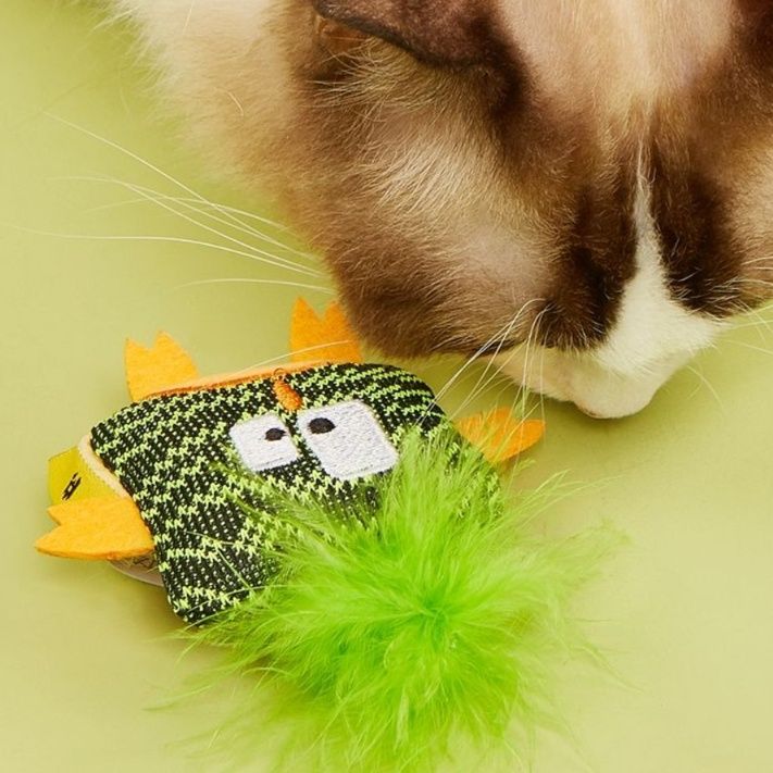 https://fulmo-img-server.com/party-cat/1750389314857_sxdwa6hf_brc8reah.jpeg