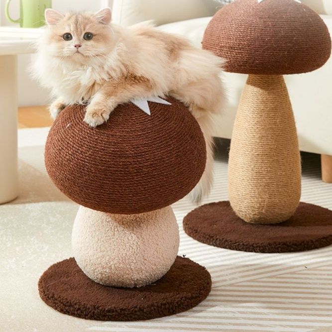 https://fulmo-img-server.com/party-cat/1750400698143_6gvsamof_hleinrh8.jpeg