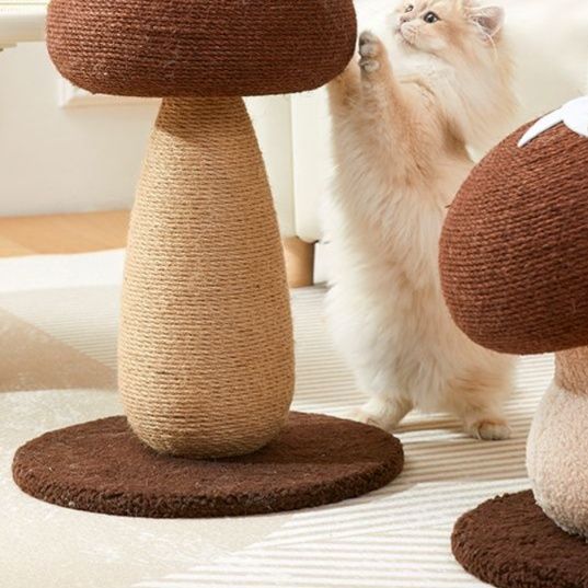 https://fulmo-img-server.com/party-cat/1750400709933_mrsek3hh_2qxijrfn.jpeg