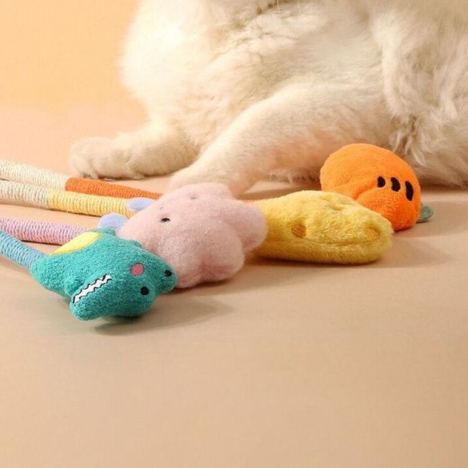 https://fulmo-img-server.com/party-cat/1750401810597_k07agrn3_2ptosrrm.jpeg