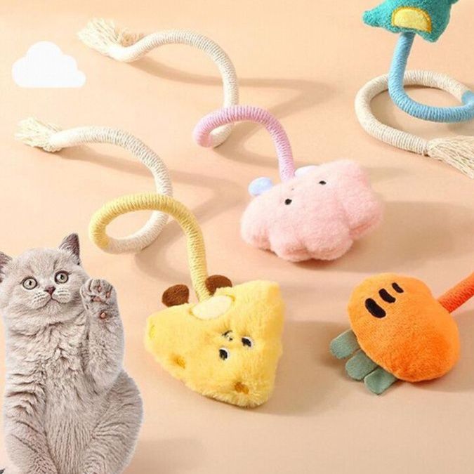 https://fulmo-img-server.com/party-cat/1750401840186_z0mmbpgd_ihyjucn7.jpeg