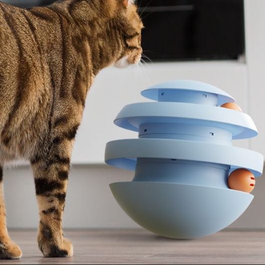 https://fulmo-img-server.com/party-cat/1750402387425_f880fxb4_k5oy103a.jpeg