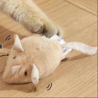https://fulmo-img-server.com/party-cat/1750415837957_pqdbov3i_op0pj45i.jpeg