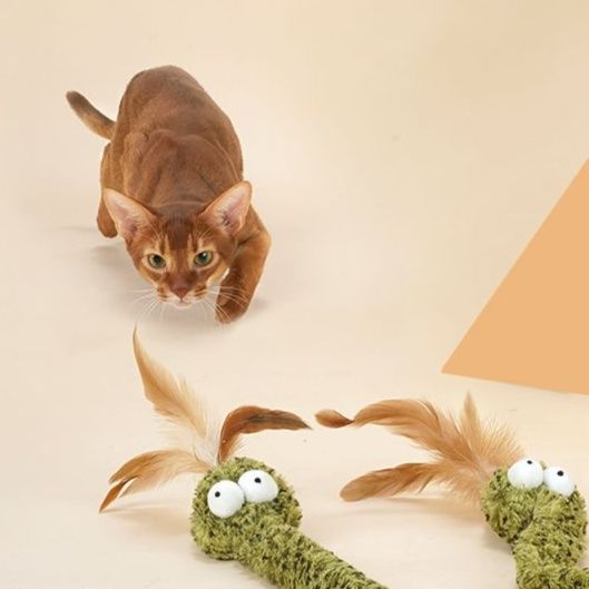 https://fulmo-img-server.com/party-cat/1750416788321_m6td1zre_x3eaas9u.jpeg