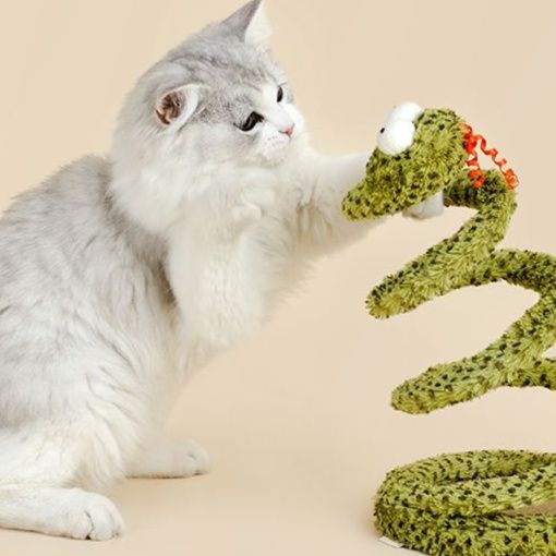 https://fulmo-img-server.com/party-cat/1750416849710_e4lnrl6k_tzsup6u9.jpeg