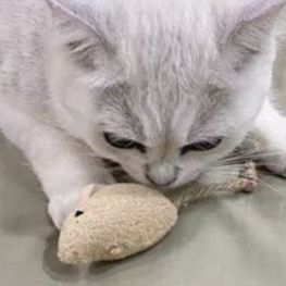 猫 おもちゃ もふもふネズミ３兄弟の猫じゃらし
