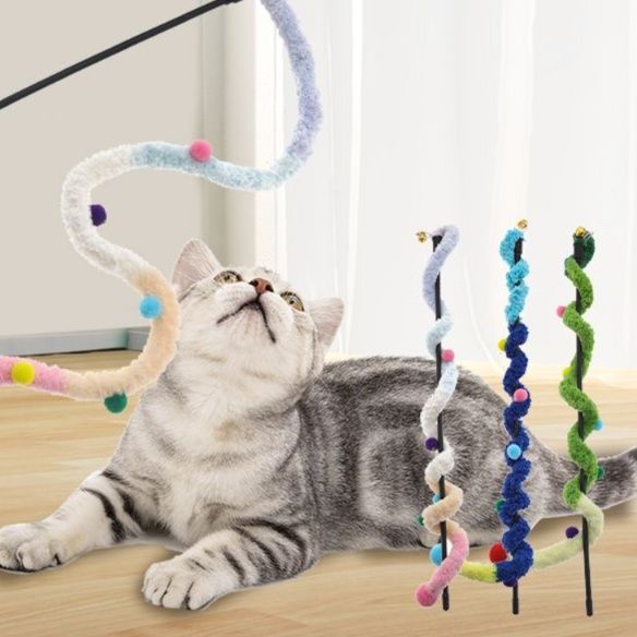 https://fulmo-img-server.com/party-cat/1750417226968_pz182rbv_u7z77moy.jpeg