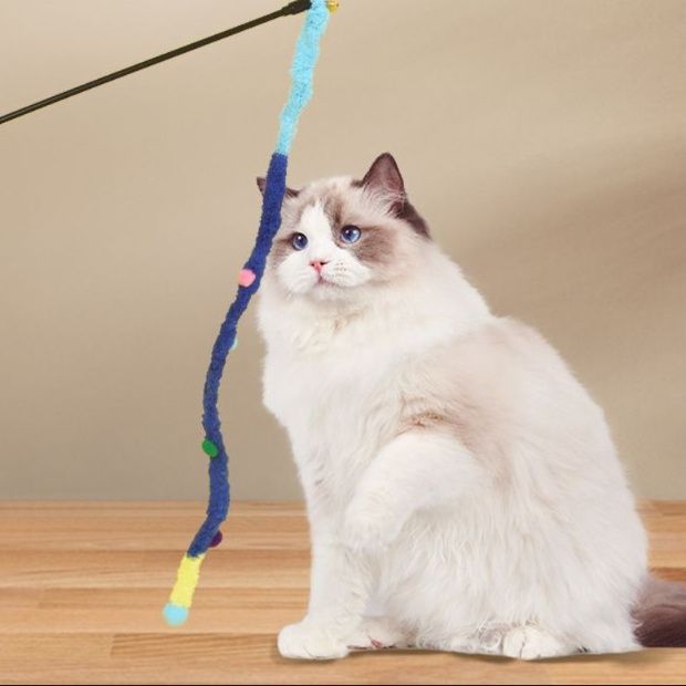 https://fulmo-img-server.com/party-cat/1750417247500_0c4itg1p_apa4pauc.jpeg
