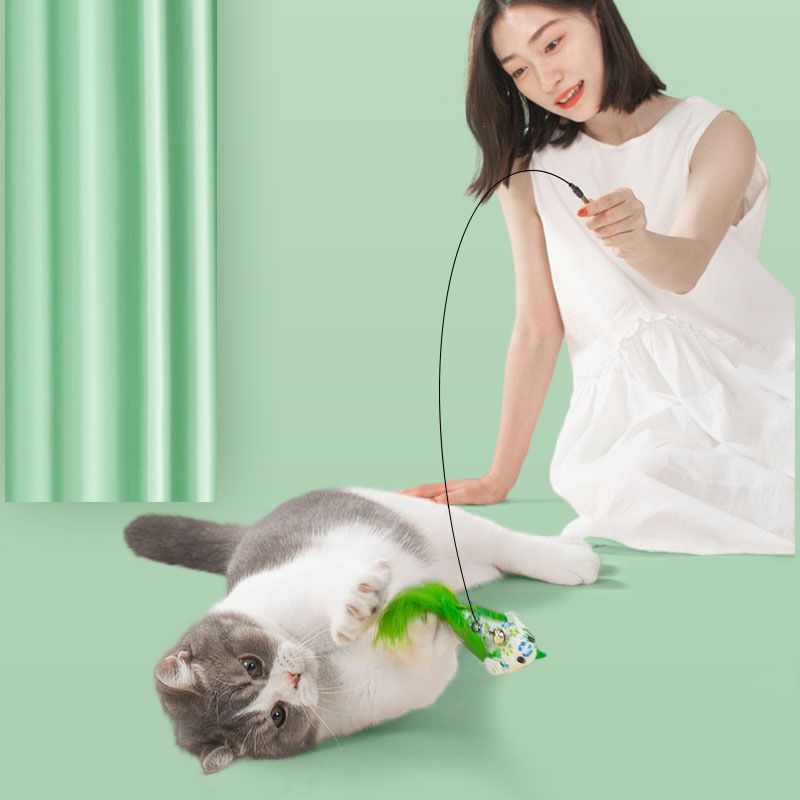 https://fulmo-img-server.com/party-cat/1750417424361_14kdcmfl_3s47ky8y.jpeg