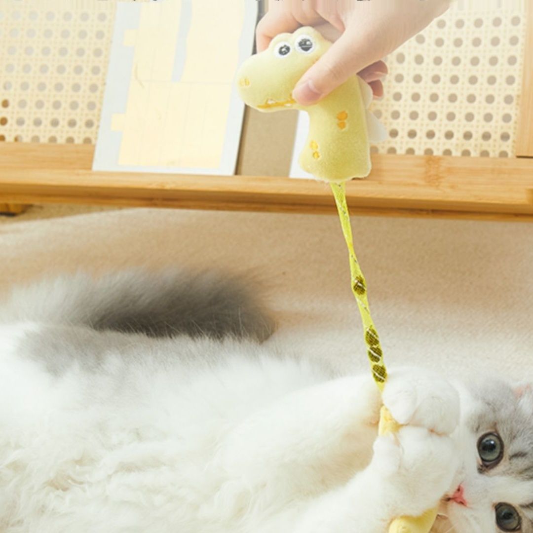 https://fulmo-img-server.com/party-cat/1750418664652_ejyqrqna_b1yahw97.jpeg