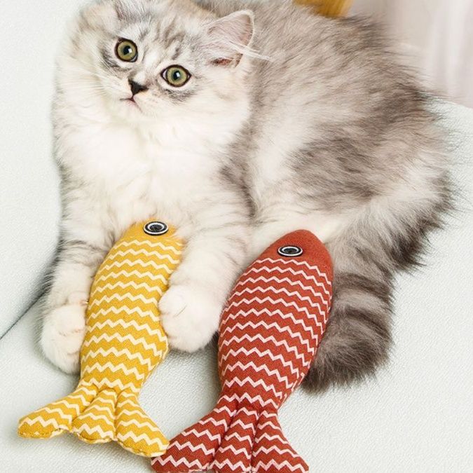 猫 おもちゃ もちふぃっしゅ 癒しの抱き枕