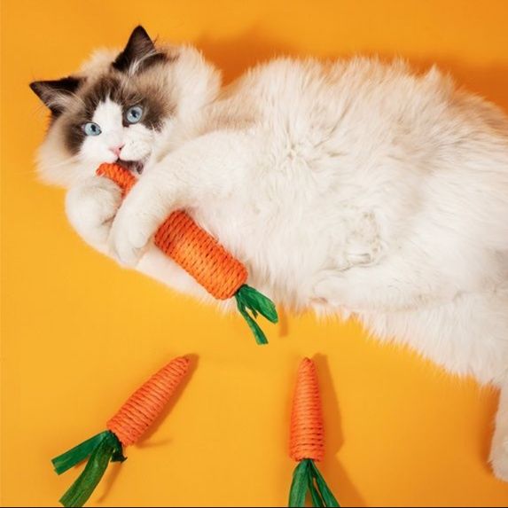 https://fulmo-img-server.com/party-cat/1750420779235_n0iix36j_g3f6srcm.jpeg