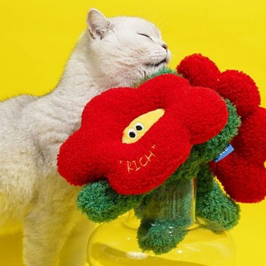 https://fulmo-img-server.com/party-cat/1750421160693_6l5tb74h_wgzzwdet.jpeg