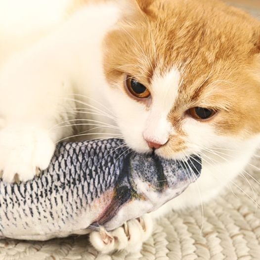 猫 おもちゃ 本物そっくり！魚型猫じゃらし