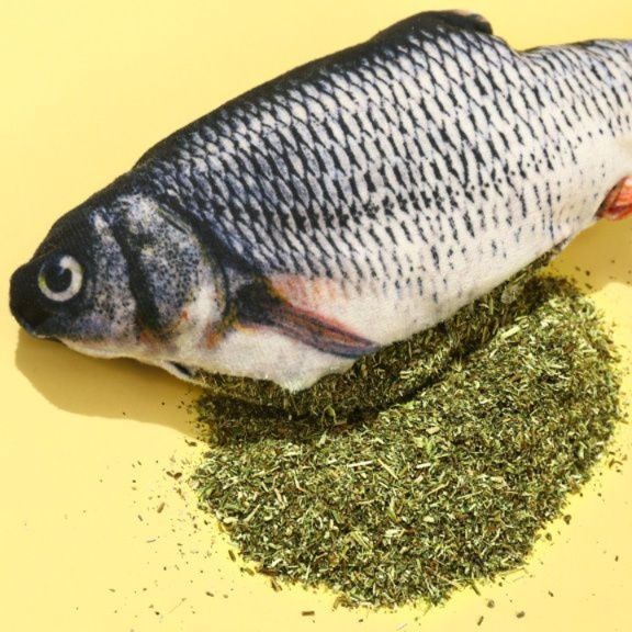 猫 おもちゃ 本物そっくり！魚型猫じゃらし