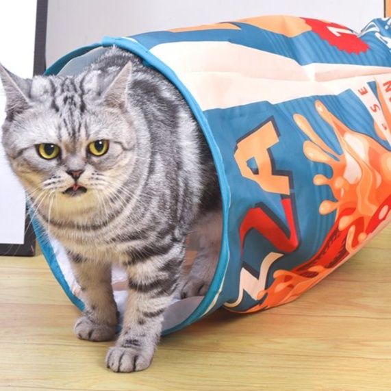 https://fulmo-img-server.com/party-cat/1750421852894_5lr5iizf_9intc7m4.jpeg