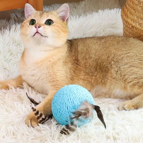 https://fulmo-img-server.com/party-cat/1750422124260_s8w8edeu_skhrggxd.jpeg