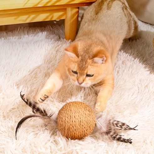 https://fulmo-img-server.com/party-cat/1750422155267_miby93ng_mx1xg7qw.jpeg