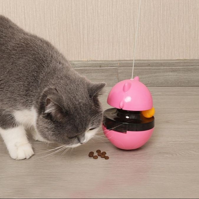 https://fulmo-img-server.com/party-cat/1750422830665_341s3u2c_nd13j020.jpeg