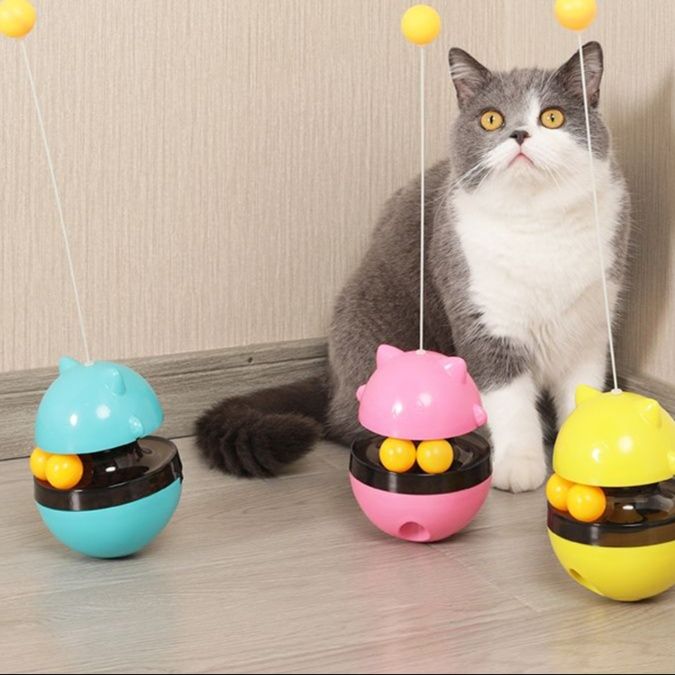 https://fulmo-img-server.com/party-cat/1750422839904_0ye8onej_kfh0cqa3.jpeg