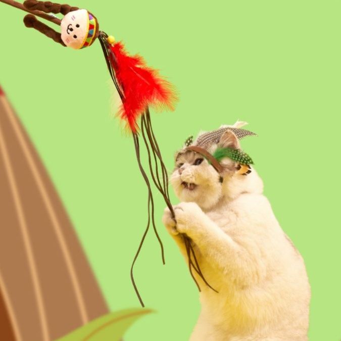https://fulmo-img-server.com/party-cat/1750495854244_j397e9cj_pzw4d1xd.jpeg