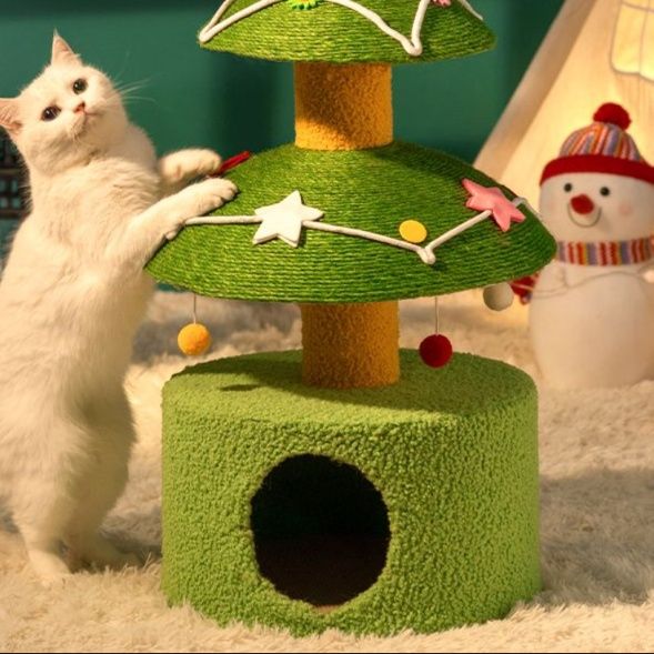 https://fulmo-img-server.com/party-cat/1750496530296_nygo03xh_jgxvc8ed.jpeg