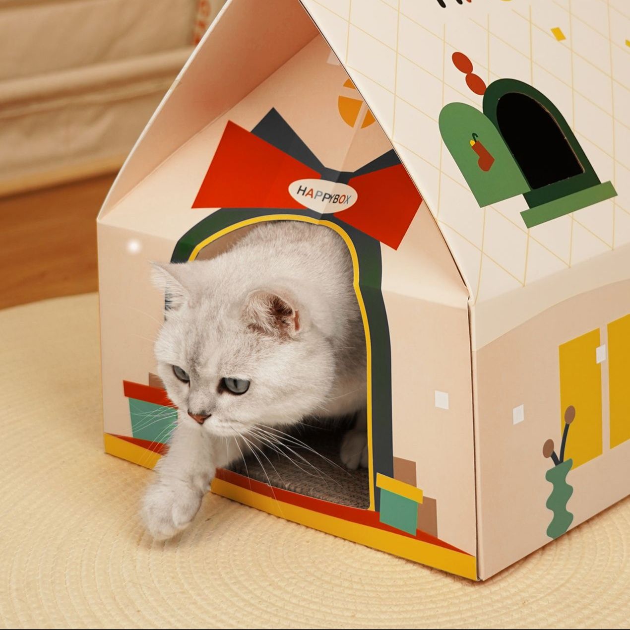 https://fulmo-img-server.com/party-cat/1750496815716_5pd17lu3_roywi6m5.jpeg