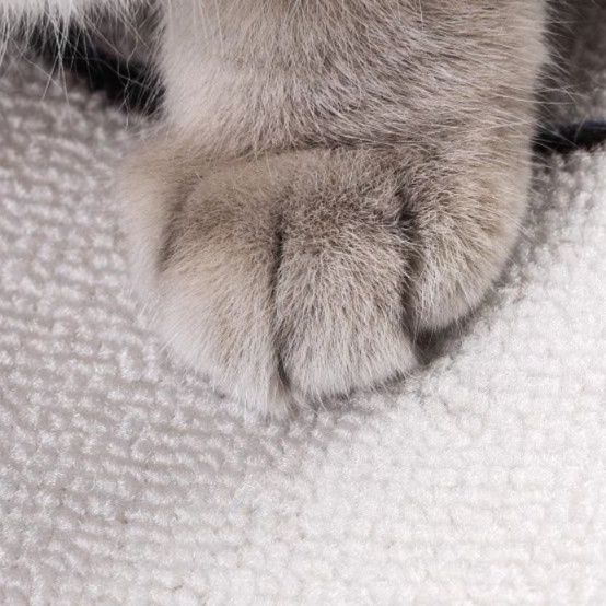 猫 おもちゃ 福招き猫のひっかき爪研ぎマット