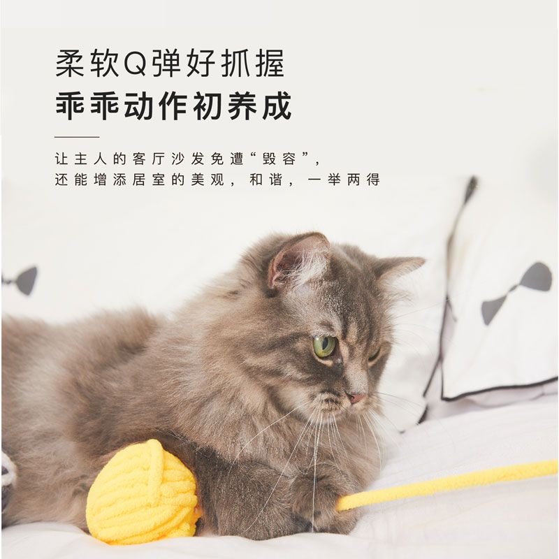 https://fulmo-img-server.com/party-cat/1750498613563_7tflt69d_fgsobxft.jpeg