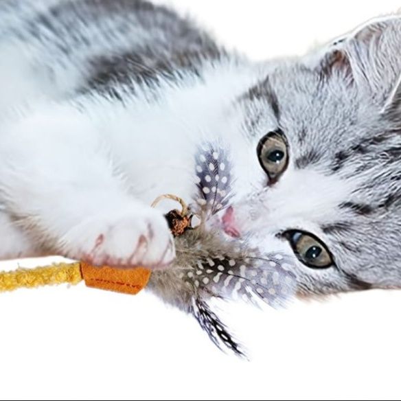 猫 おもちゃ もふもふ羽根付き歯磨き猫じゃらし