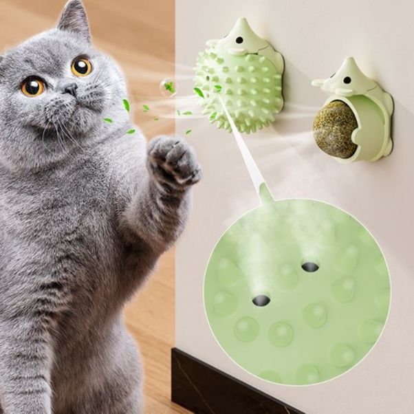 https://fulmo-img-server.com/party-cat/1750499504487_rrk14wgm_kfjq94fr.jpeg
