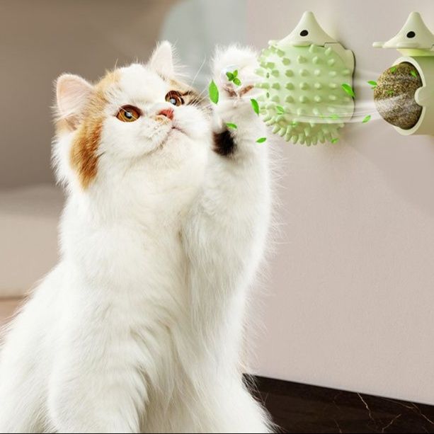 https://fulmo-img-server.com/party-cat/1750499534675_wi8gi8uj_867dujq4.jpeg