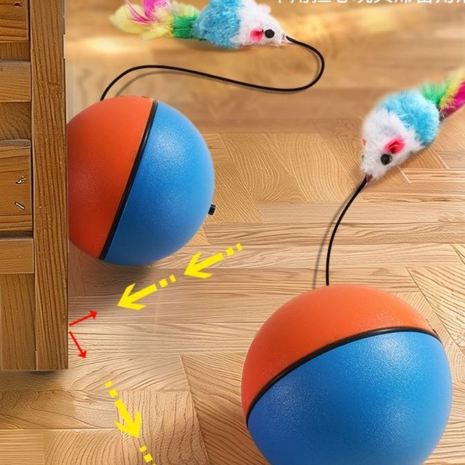 https://fulmo-img-server.com/party-cat/1750499619105_mut7nnh8_x159fsxh.jpeg