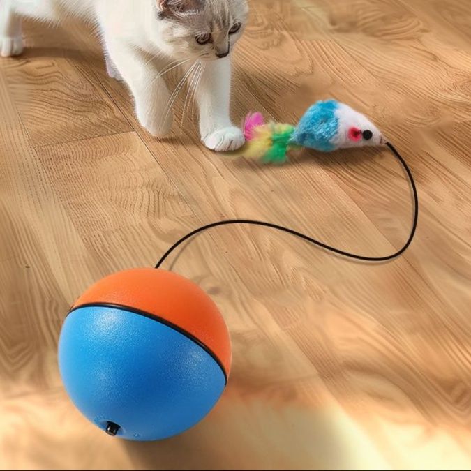 https://fulmo-img-server.com/party-cat/1750499638592_a8ehd8ct_arat2kd8.jpeg