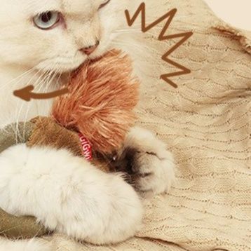 https://fulmo-img-server.com/party-cat/1750499833929_f8kpbgcn_2pohqeib.jpeg