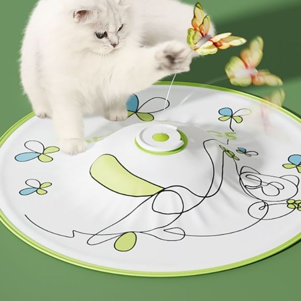 https://fulmo-img-server.com/party-cat/1750499911474_viq7nanj_sucb1uk4.jpeg