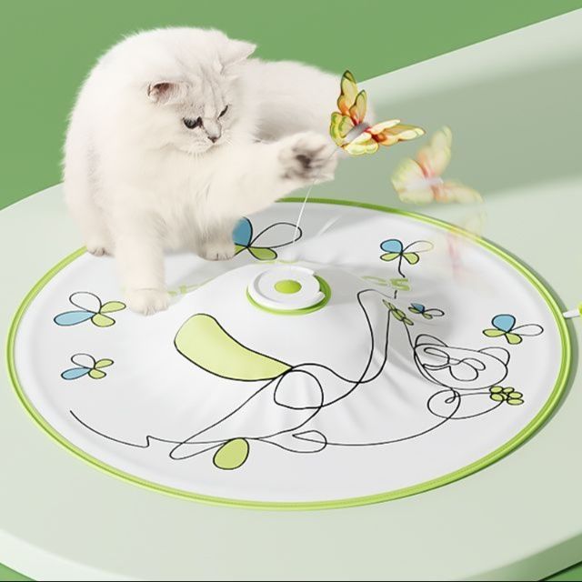 https://fulmo-img-server.com/party-cat/1750499940038_ta4ixnun_jnlq6lb3.jpeg