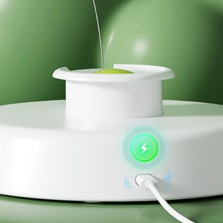 https://fulmo-img-server.com/party-cat/1750499959588_2lll8xom_ghs6tjfb.jpeg