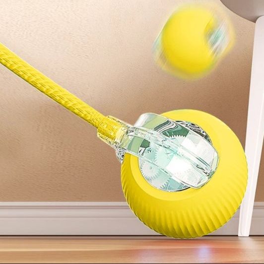 https://fulmo-img-server.com/party-cat/1750500066175_1ou4yazj_obl1fp1u.jpeg