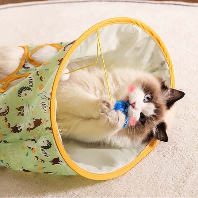https://fulmo-img-server.com/party-cat/1750516456497_biv9pqcd_v7ib2mhn.jpeg