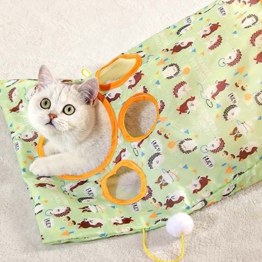 https://fulmo-img-server.com/party-cat/1750516487400_ncoudnw7_xe4ffblg.jpeg