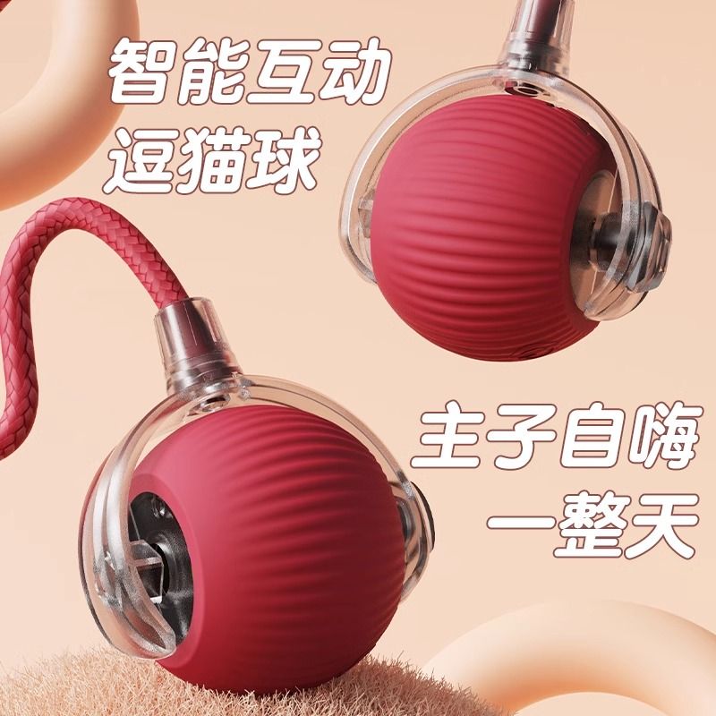 https://fulmo-img-server.com/party-cat/1750516873038_icdzyqvn_t1oeibo1.jpeg