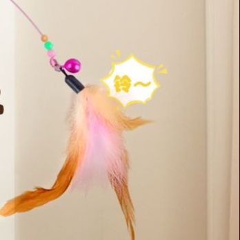 https://fulmo-img-server.com/party-cat/1750517472084_i5qz8s3g_6hl3kxw6.jpeg