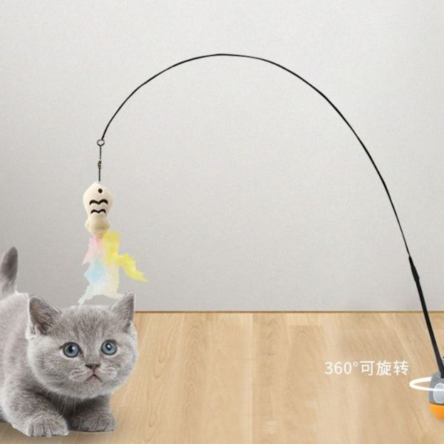 https://fulmo-img-server.com/party-cat/1750517569499_tcx6t928_3g9wnsfe.jpeg