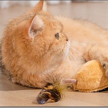猫 おもちゃ リモコン操作式 ネズミ型猫じゃらし