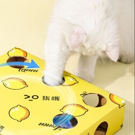 猫 おもちゃ もぐもぐボックス猫じゃらし遊び