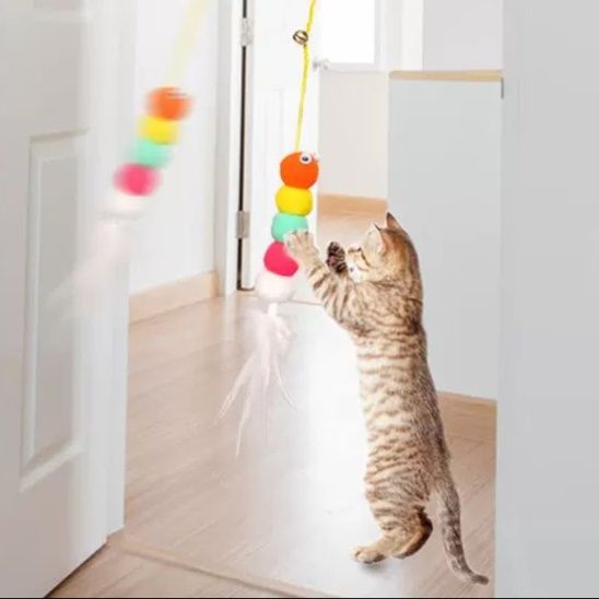 https://fulmo-img-server.com/party-cat/1750517978444_7xph961x_2zvib80e.jpeg