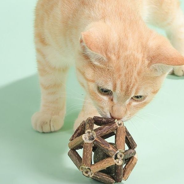 猫 おもちゃ 天然木の歯磨きボール型 猫じゃらし