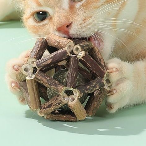 猫 おもちゃ 天然木の歯磨きボール型 猫じゃらし