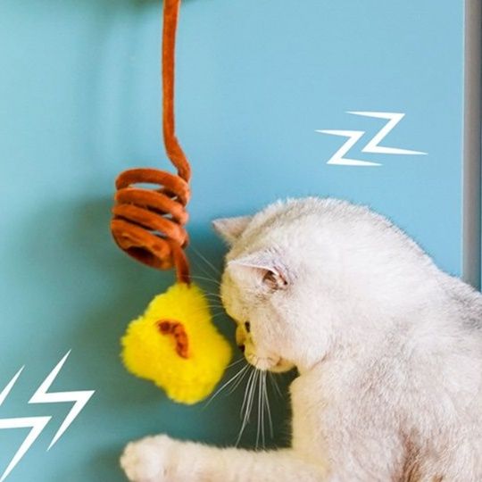 https://fulmo-img-server.com/party-cat/1750650711278_za2e8nxc_3binl9ak.jpeg